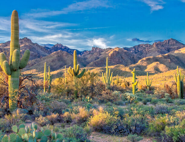 Treatment Centers in Arizona